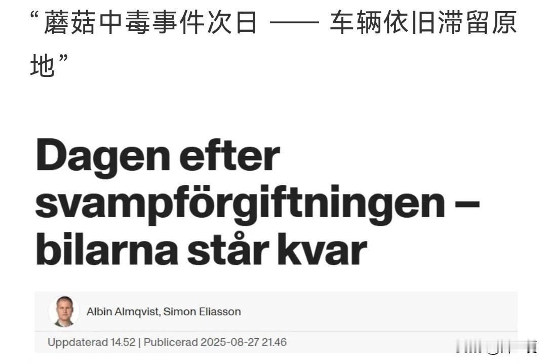瑞典是离云南很近吗？八名中国游客自驾游瑞典，然后自己跑去树林里摘野生蘑菇吃，导