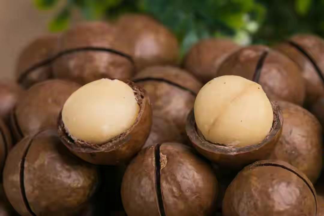 这种坚果被称为“固态橄榄油”，70%都是油，却让你越吃越健康？别被“高油”吓