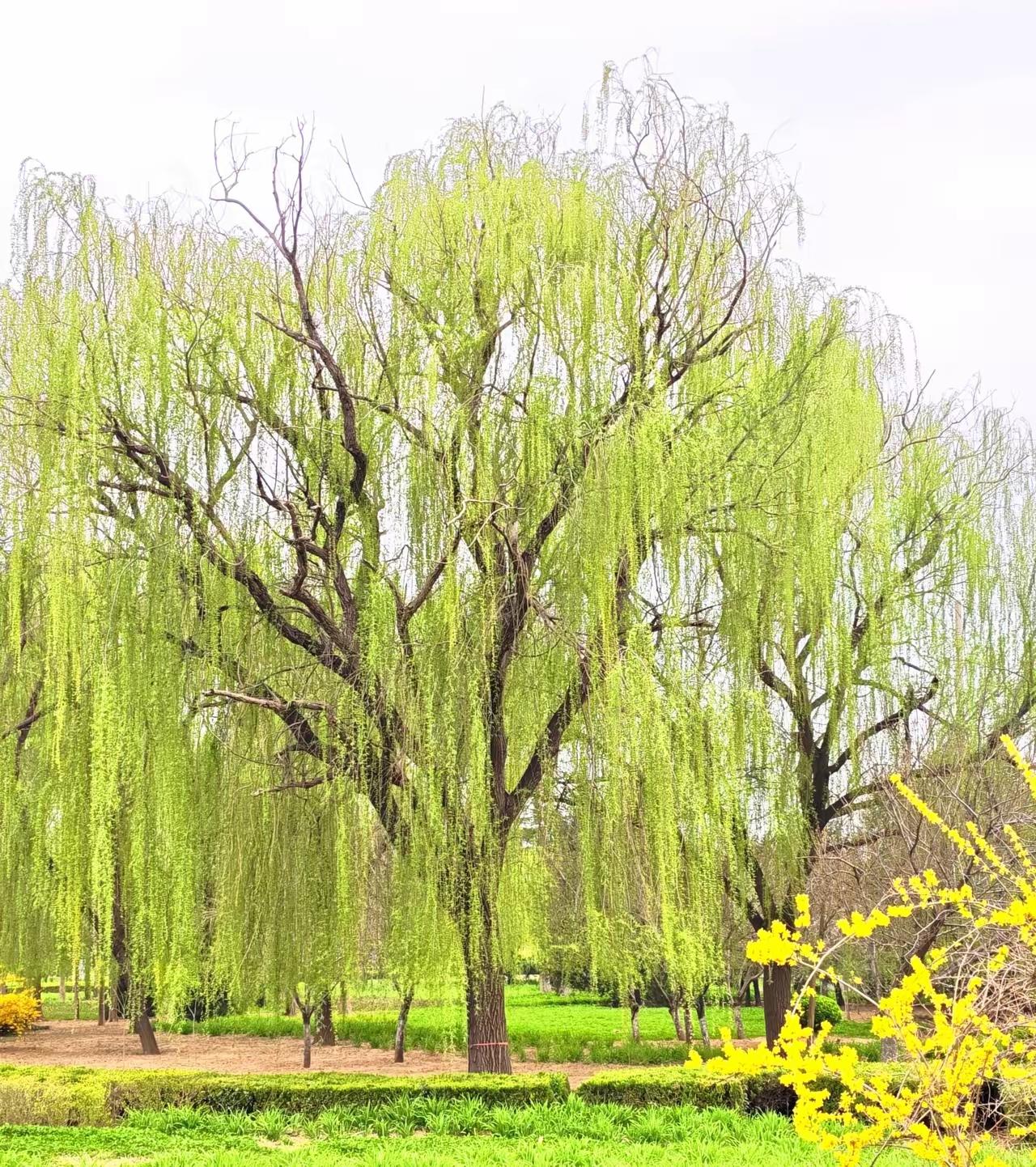 成年人必须具备的生存本领1. 情绪自控力不被愤怒、焦虑、委屈牵着走，遇事