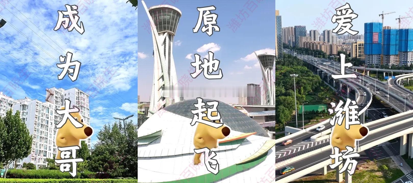 潍坊称霸齐鲁系列视频火了短视频平台这四条视频太懂山东人了！用航拍+魔性袋鼠动画