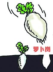 萝卜岗，百姓的眼睛是雪亮的多少年前，听说某单位，通过正规程序招聘，把领导的孩