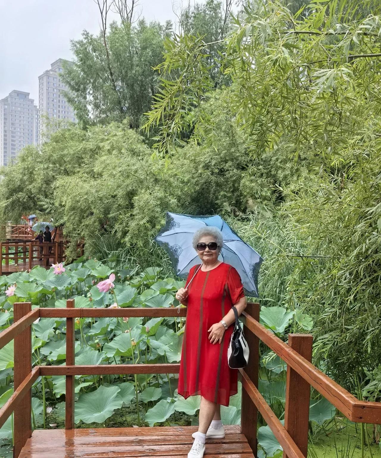 今天我们娘俩去看荷花，被浇成了落汤鸡。老妈听人说哈尔滨群力雨阳公园荷花特别漂亮，