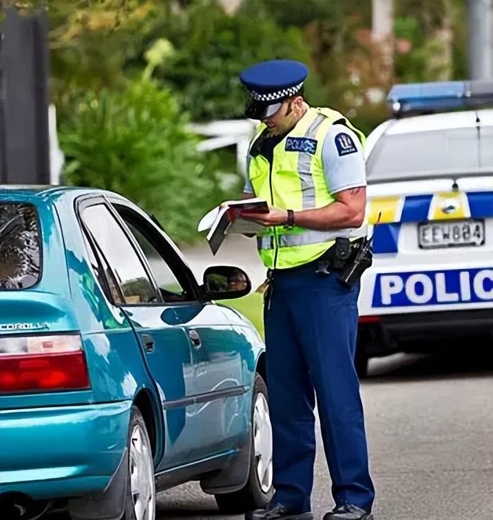 新西兰自驾游踩坑：一脚油门700元，刚好够吃10盘拍黄瓜，这趟旅行到底值不值？