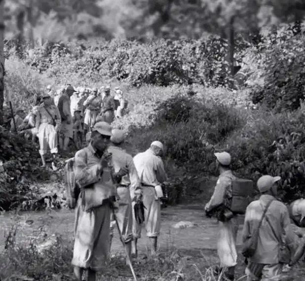 1964年，段希文领着那帮国民党剩兵把枪炮全交给了泰国军方，没成想刚入夜，就有大