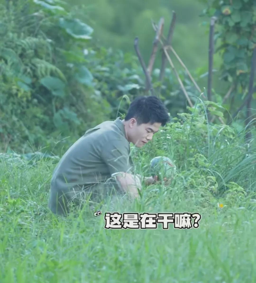 浙浙太懂朋友们了，在这里竟然看到了董宇辉没发的内容，董宇辉说了什么？龙洋拿着西瓜