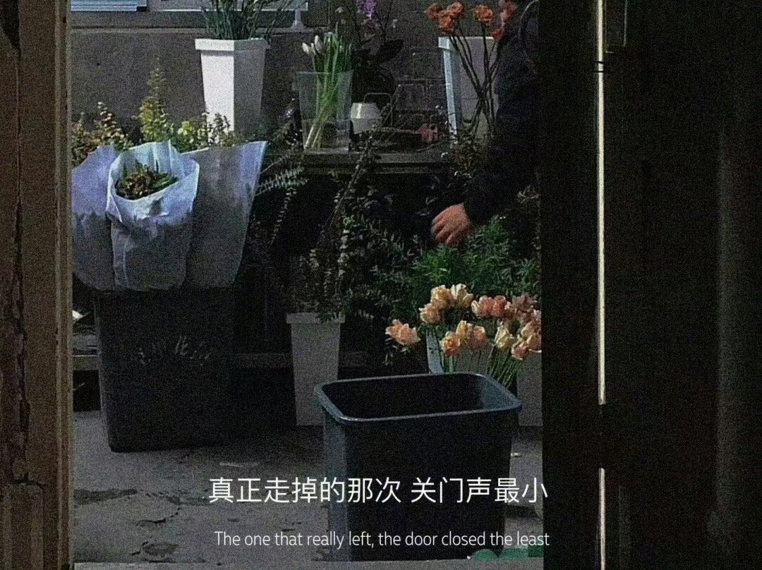 看完你就释怀了最高级的惩罚就是沉默，最矜持的报复就是无视，少在烂事上纠缠，少为