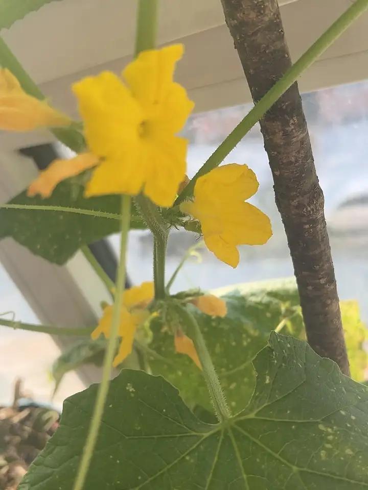 听医生说完我后背都发凉了。他说人衰老的根本，不是皮肤松了，也不是头发白了，是