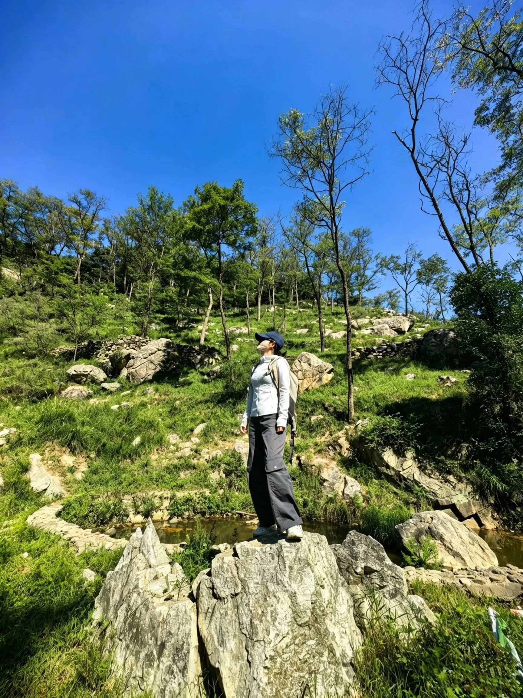 徒步深山 闯入现实版绿野仙境🌳