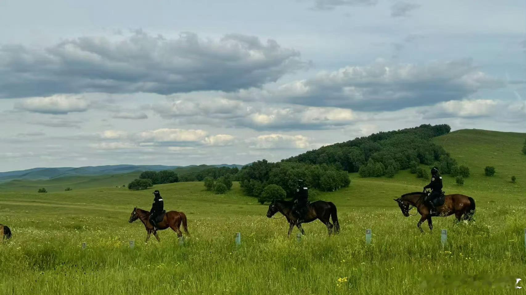 向涵之肌肉线条向涵之的肌肉线条杀疯了！纤瘦却有力量，这才是健康美天花板✨