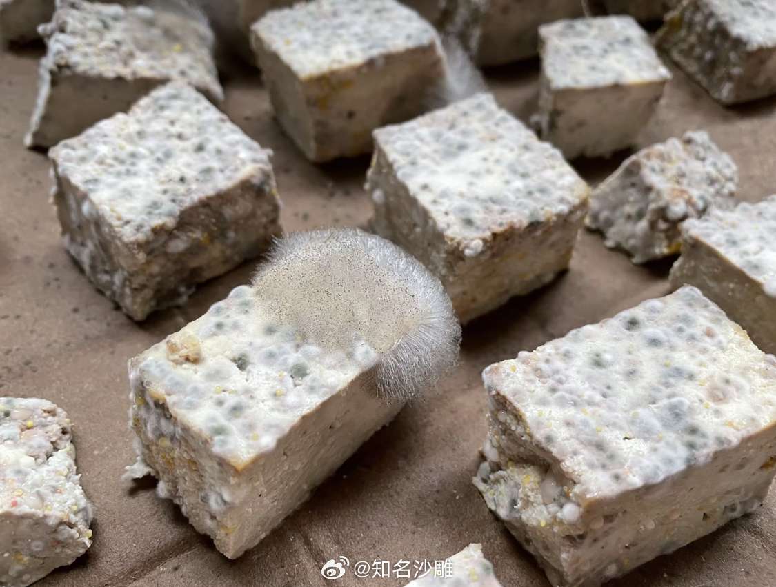 我奶做的霉豆腐，有喜欢吃的朋友可以给你们寄一些。