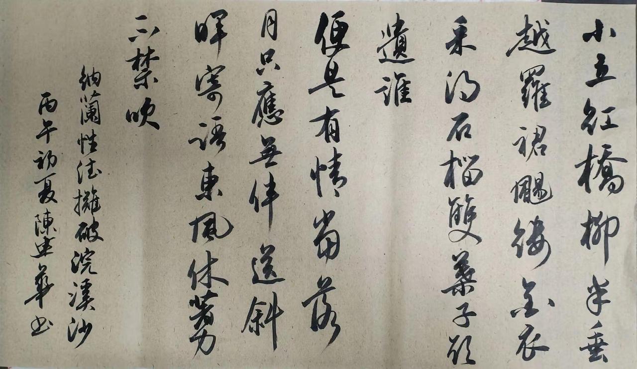 近来常诵纳兰词，忽觉东风入砚池。正是岛城春夏际，风吹雨打落花时。行书书法书法