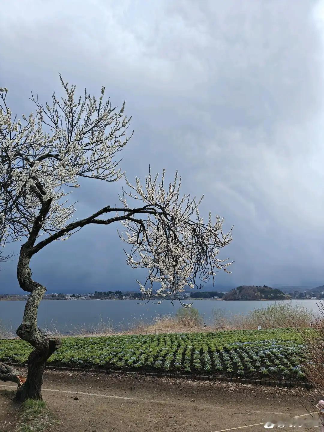 谈谈我接融日本人的感受本人是一个工厂的业务，有时候也会接一些日本的订单和客人，