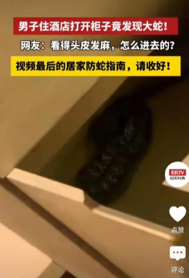 头皮发麻！男子入住酒店，进入酒店房间后，他放下背包，打开柜子，想把自己的行李塞进