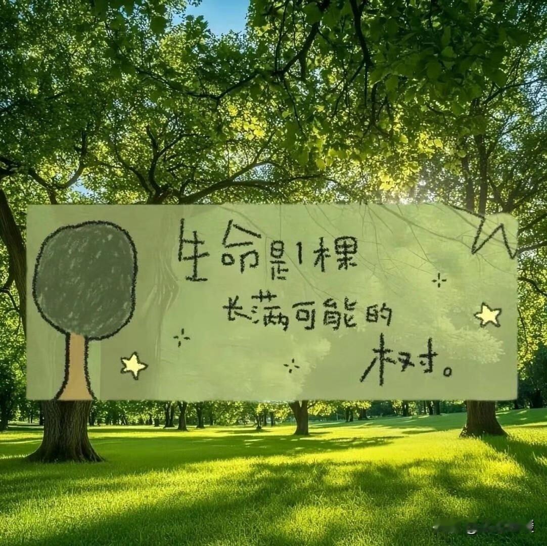 🌞🌱不高估关系，不低估人性不把任何人当成人生靠山，