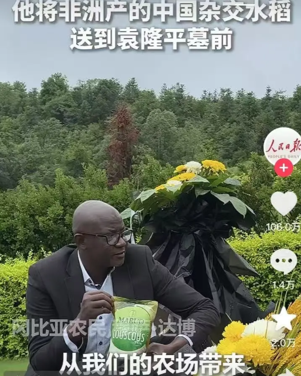 袁老师，冈比亚的稻子熟了您的种子在冈比亚生根，我们不再挨饿了！他辞去美国高薪