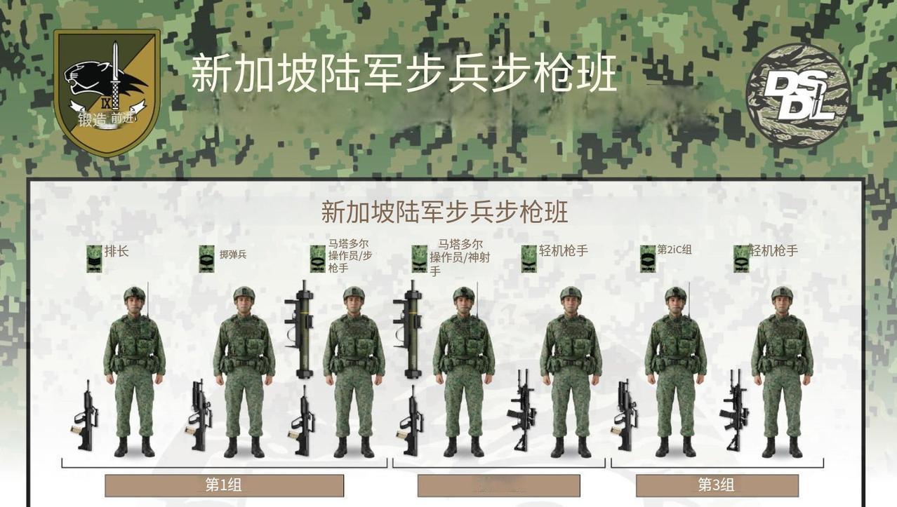 如今的新加坡陆军步兵班，感觉也是重火力化了，一个班分成三个战斗小组，除了一个机