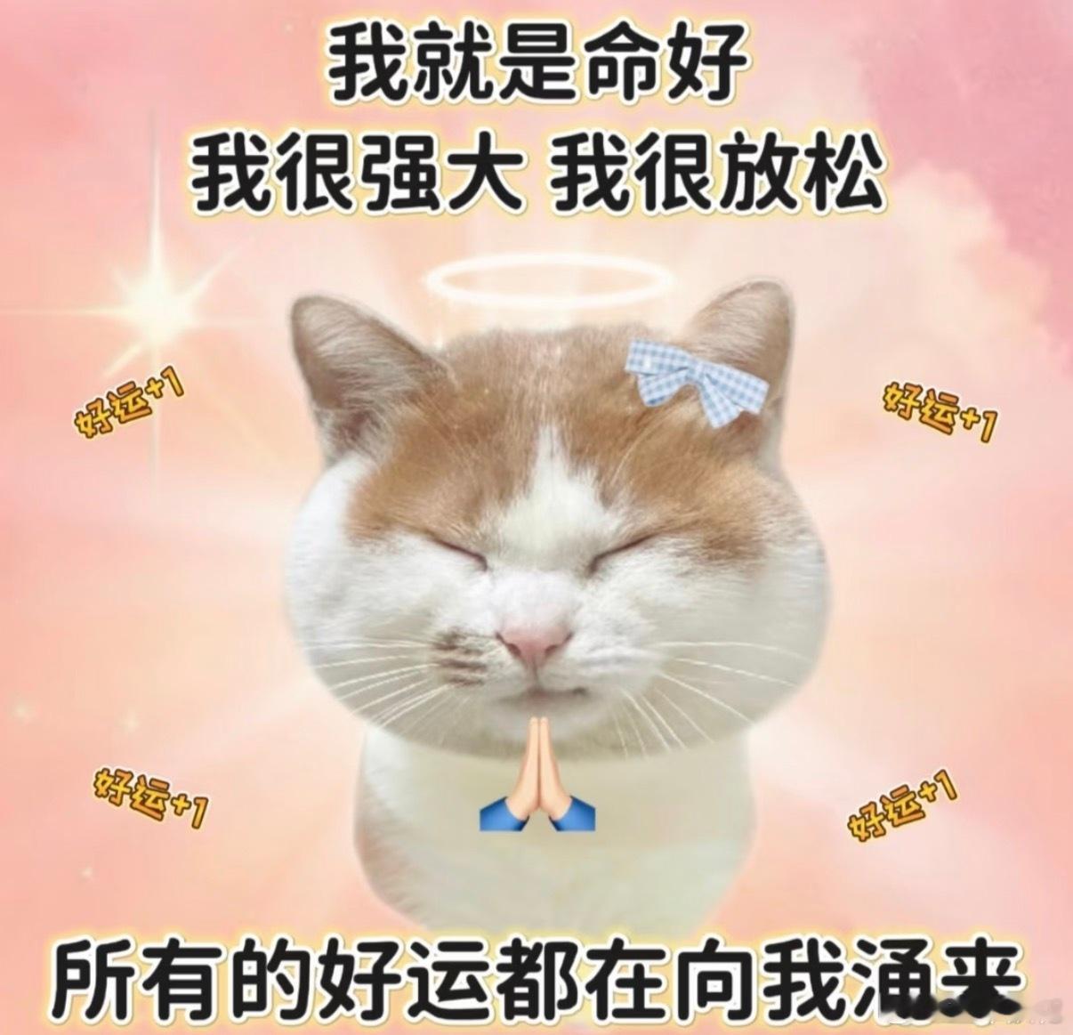 和我妹聊天，他们班里知道预科的少数民族家长，直接让孩子报了预科。平时考试比她低几十分的，去了川大预科