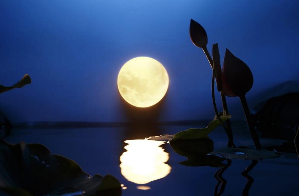 月光里有学问，与友友们分享夜里抬头望月，忽然发现一个公开的秘密月亮