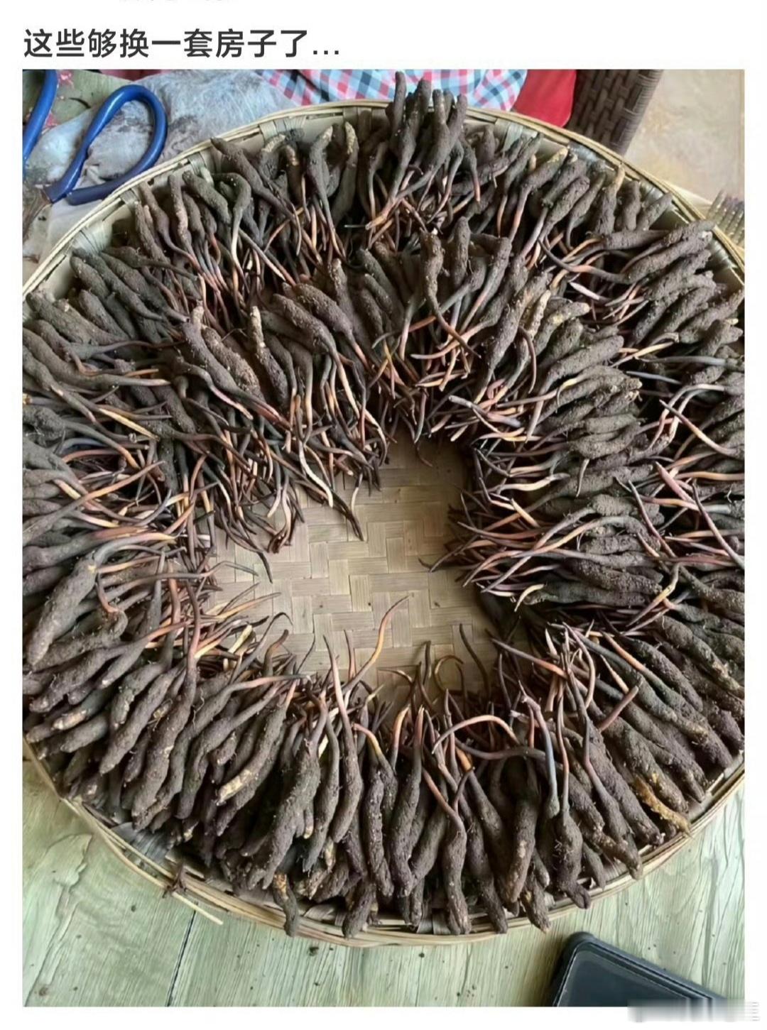 网上看到有网友发的这张照片，图片里的这些，真能换一套房子吗？