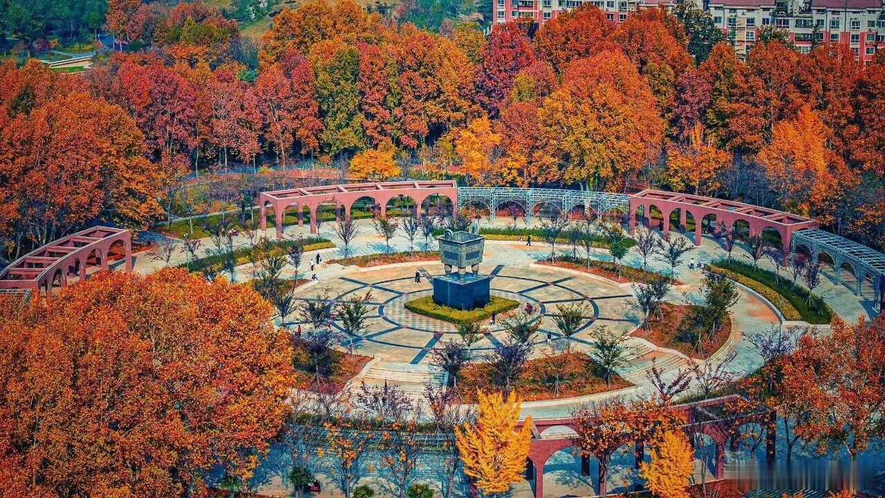 踏入世纪公园，便被浓郁的静美所包裹。大道上，叶片已染上灿金，将阳光筛得细碎，在脚