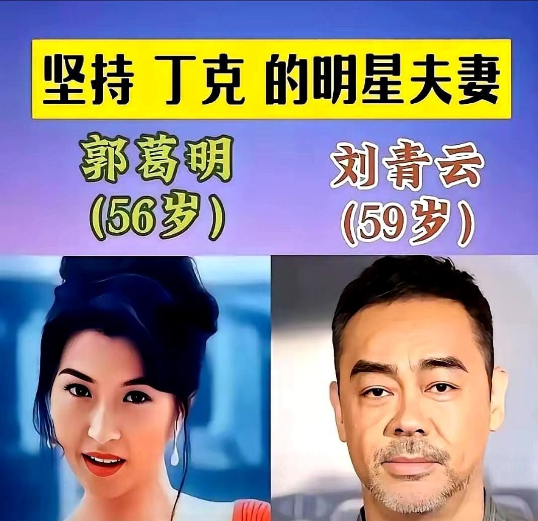 周润发陈荟莲、刘青云郭蔼明、舒淇冯德伦这三对香港夫妻，结婚多年都没要孩子，可背后的原因压根不是一种活