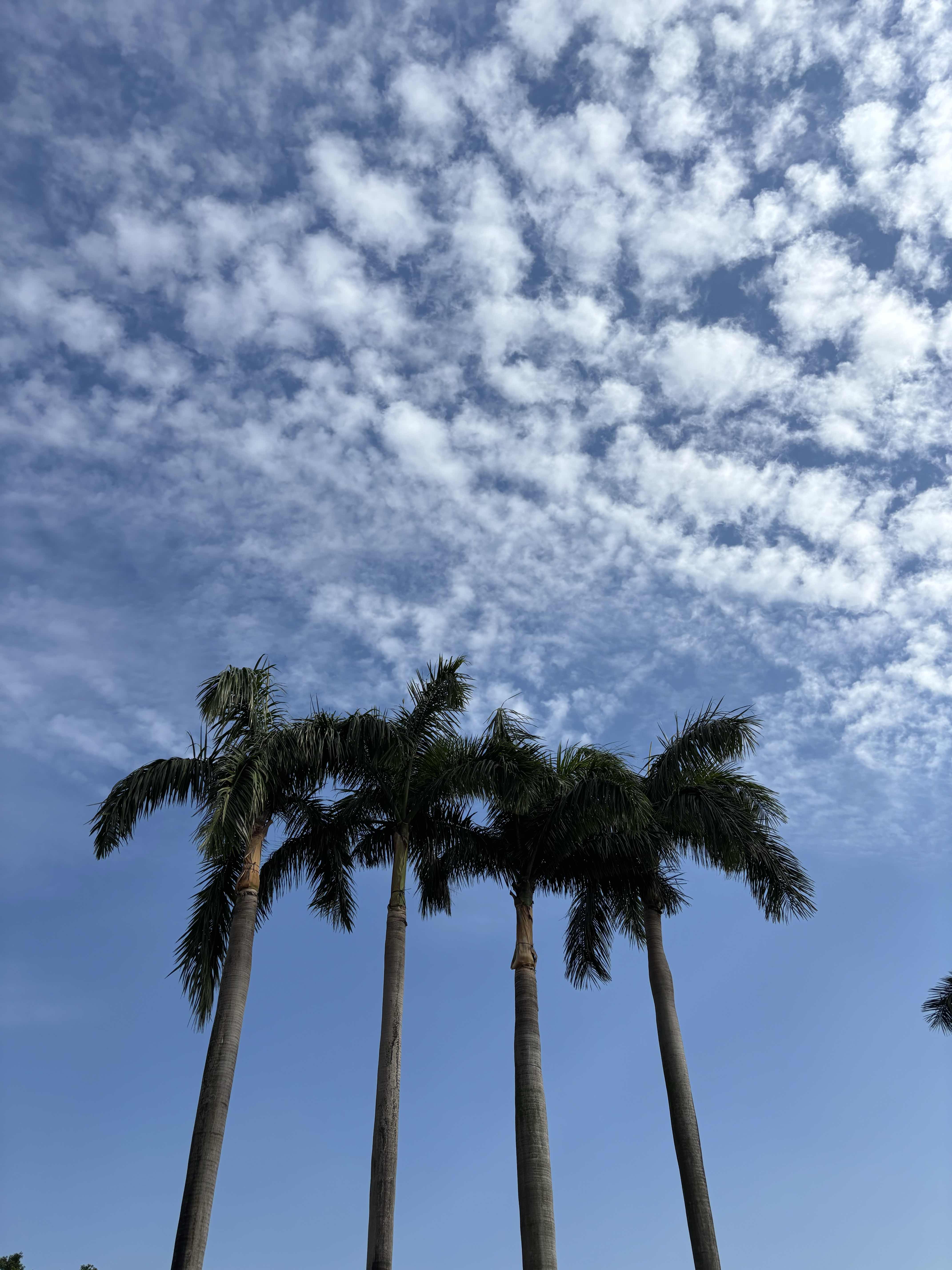 人性精神成长的三重境界弱时慕强：物质匮乏、能力不足、地位低微或是精神...