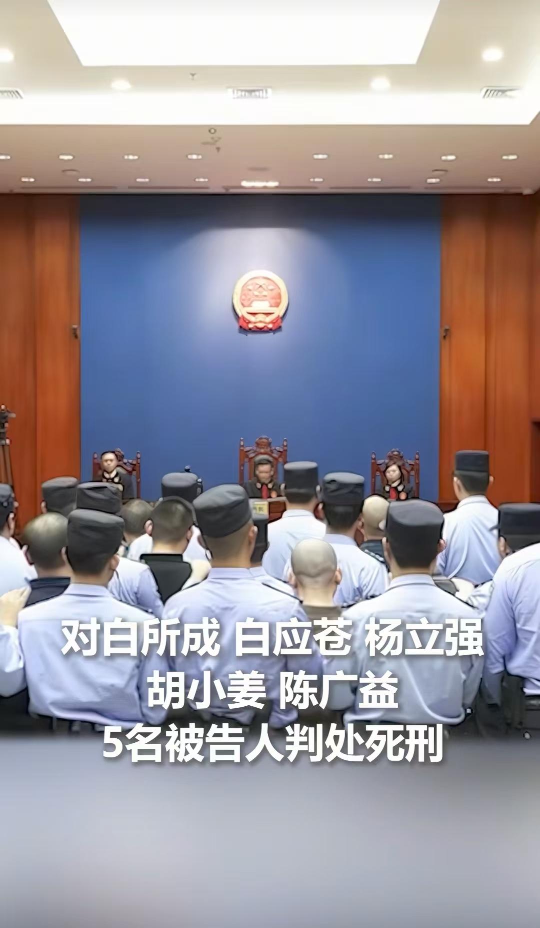 判决结果出来了，死刑！！真是以前有多风光，现在就有多狼狈！白家犯罪集