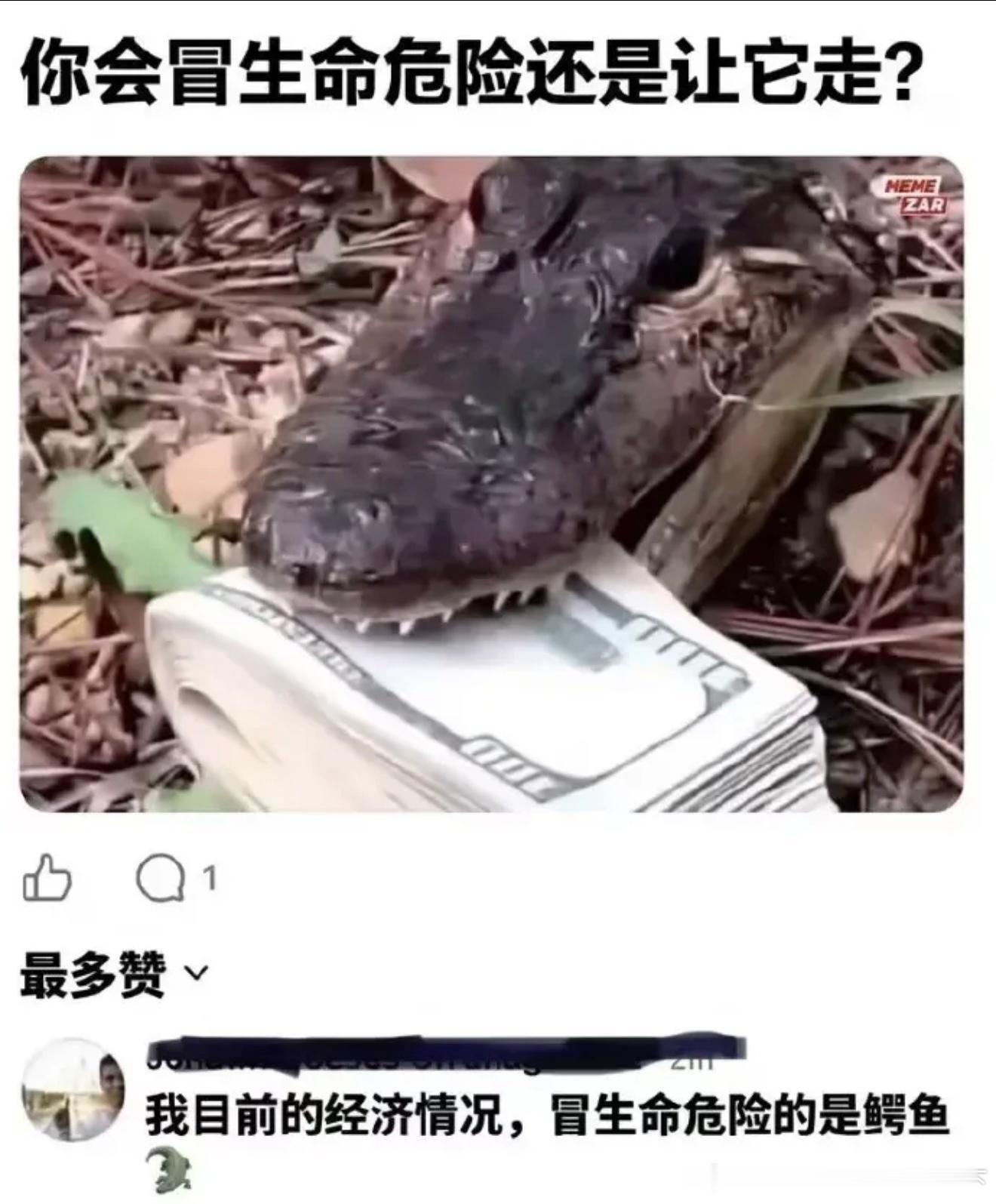 6518请作答！