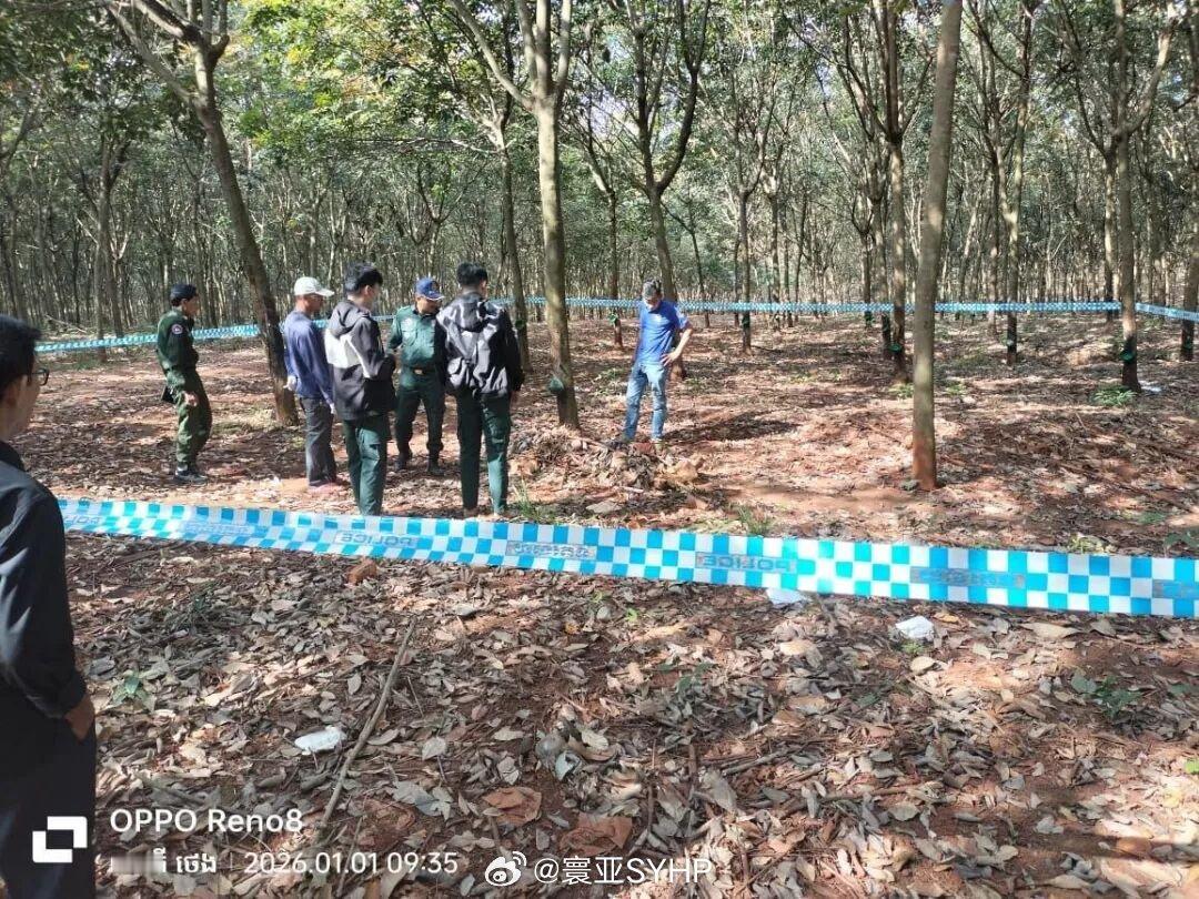 30岁中国男子柬埔寨遇害6名涉案中国人拘捕1月1日凌晨，在柬埔寨特本克蒙省棉末县