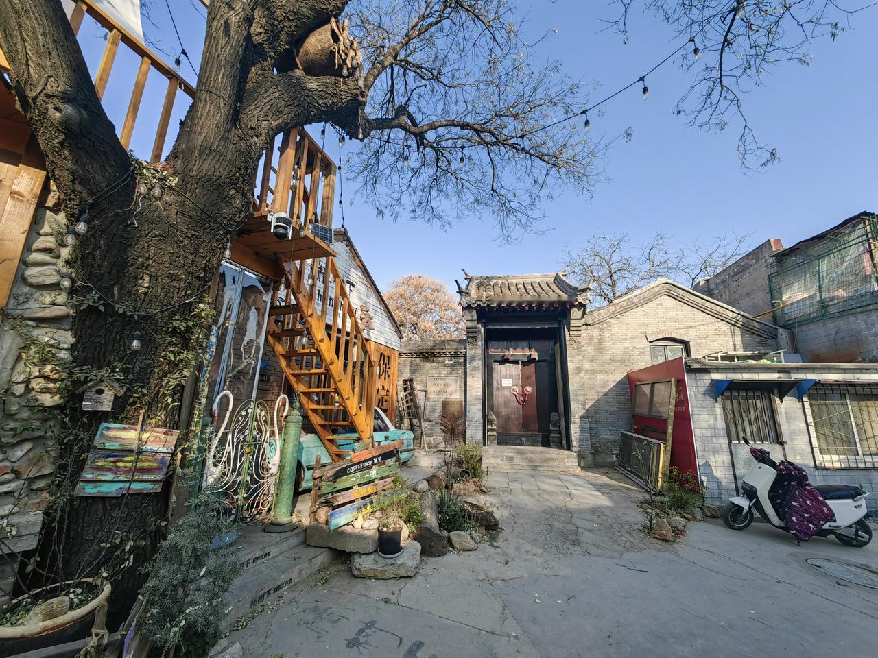 打卡保定菊胡同。礼拜六，我们游览了保定的网红胡同，菊胡同，地址在莲池后面那个胡同