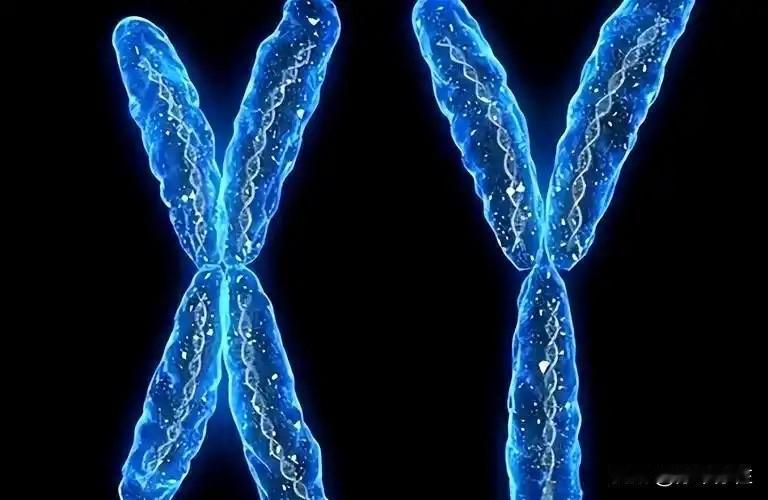 还在用偏方“控制”生男生女？最新研究早就戳破这个“伪命题”了。从染色体科