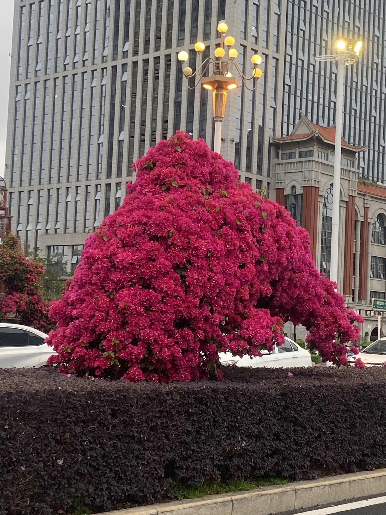 暑期到了，很多家长趁此机会纷纷带孩子去各地旅游。各景区穿梭就会遇到一个打车问题