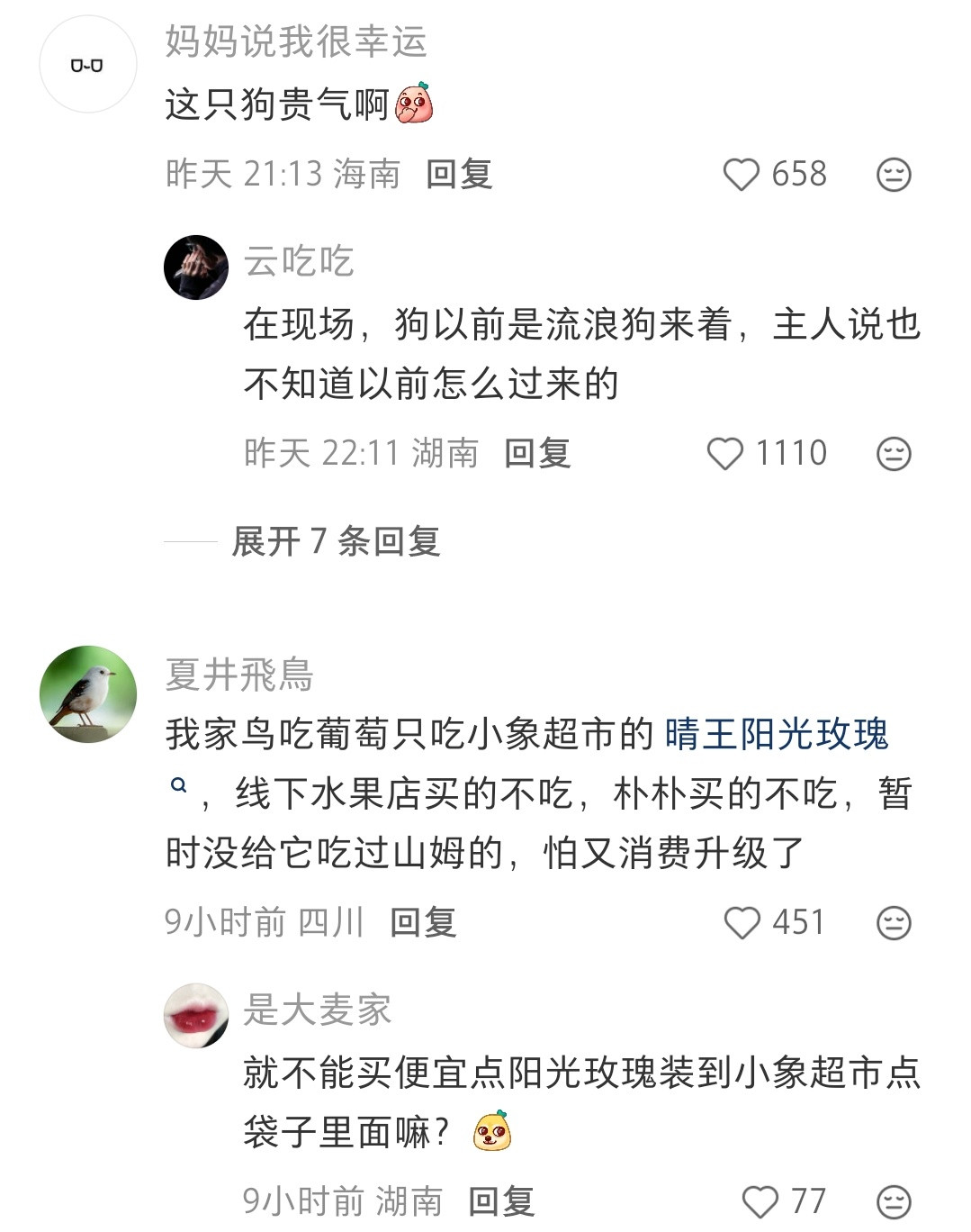 哈哈哈小猫可以吃冰激凌，但是小狗不能吃，因为狗子只吃贵的吃不起