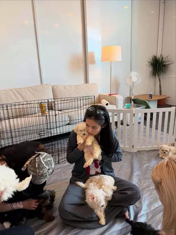 Jennie晒出生活日常照片，坐地上抱小狗超可爱。​​​
