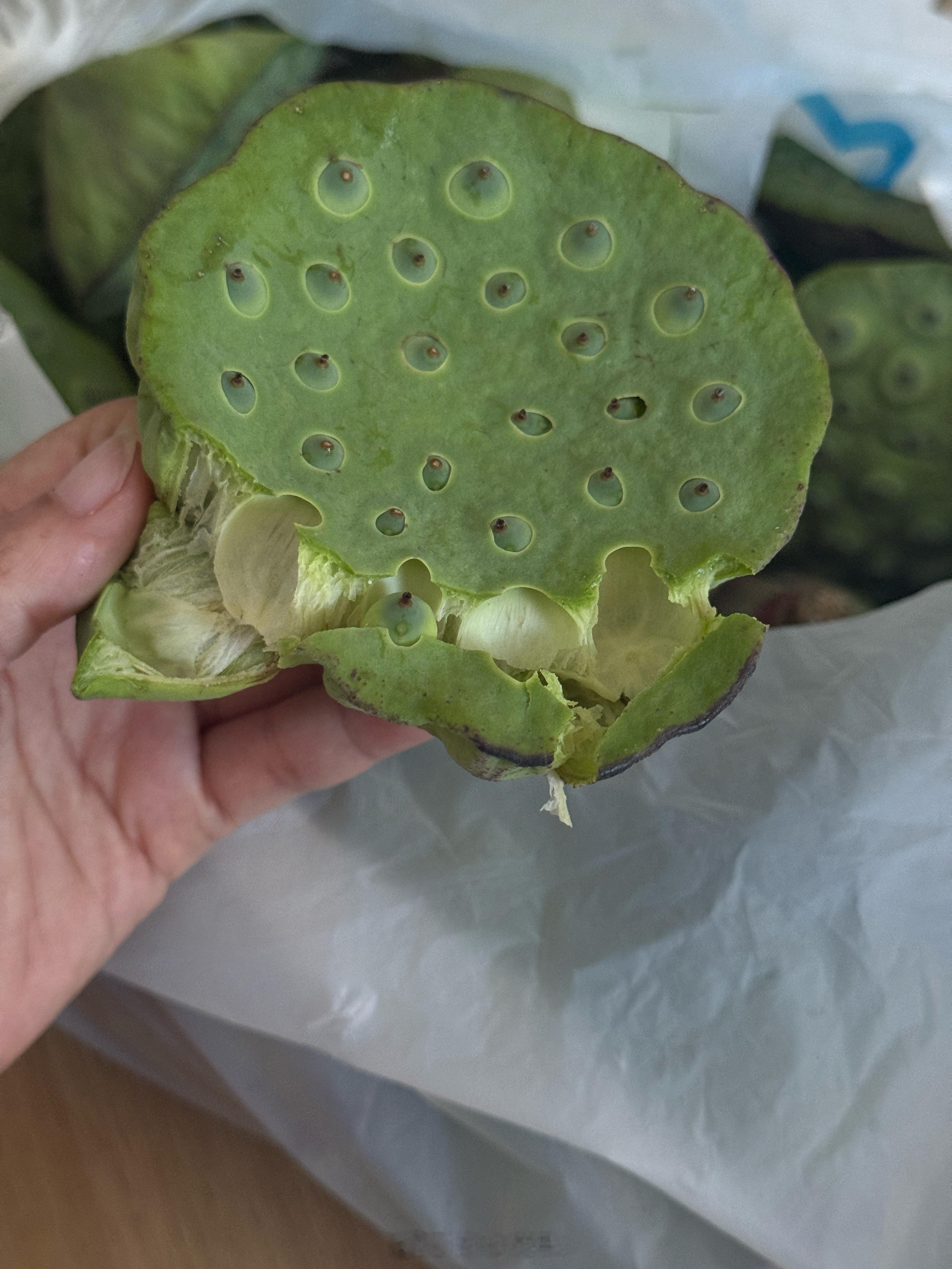妈妈给我摘的[抱抱]​​​