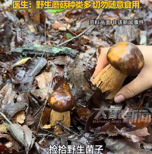 “悲剧还是发生了！”近日，河南郑州，一5岁男孩放假和爷爷奶奶上山采野生菌子，老人