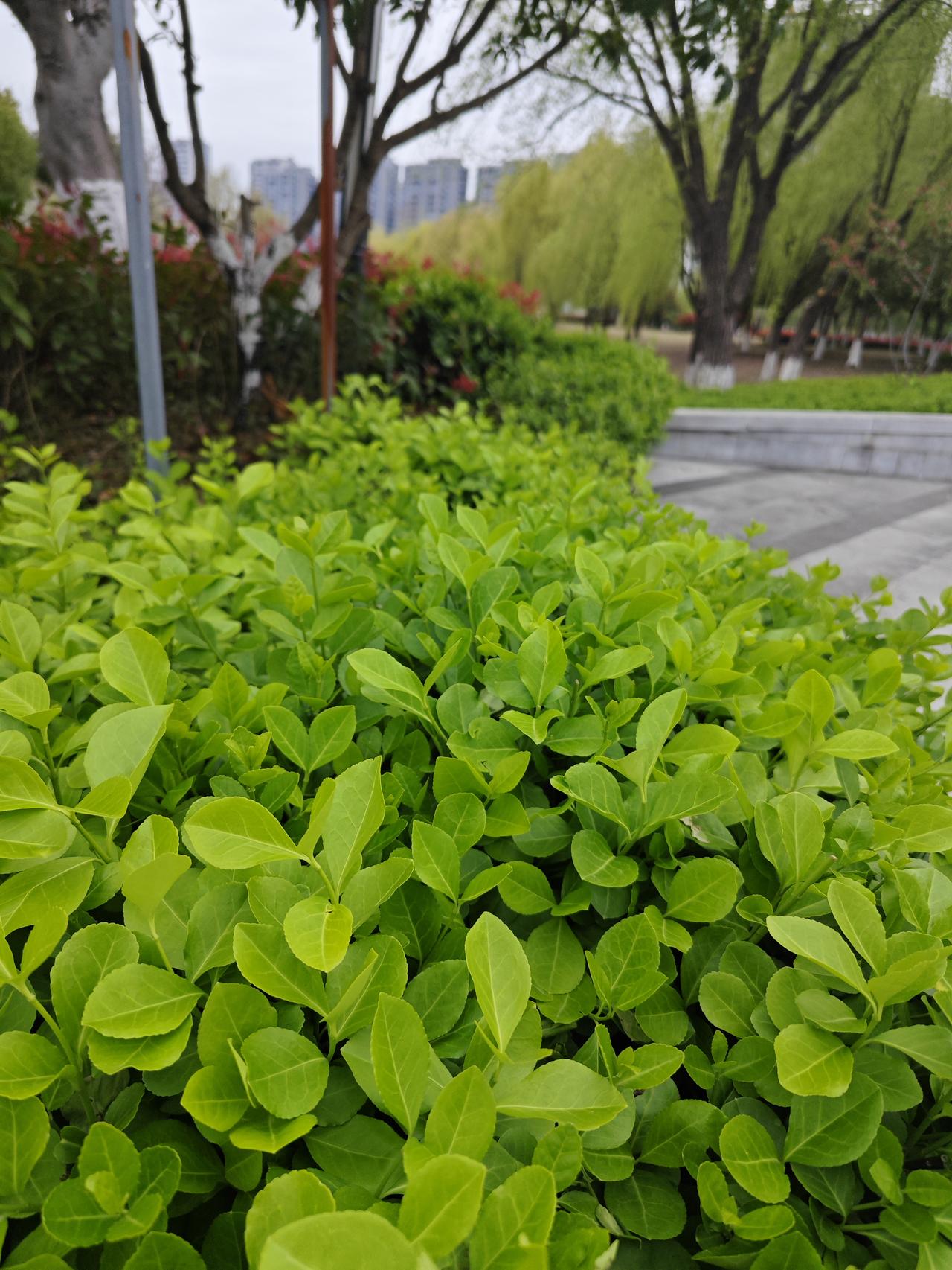 人过50，大病都是“熬”出来的！养生真不是矫情很多中老年人，一辈子省钱。