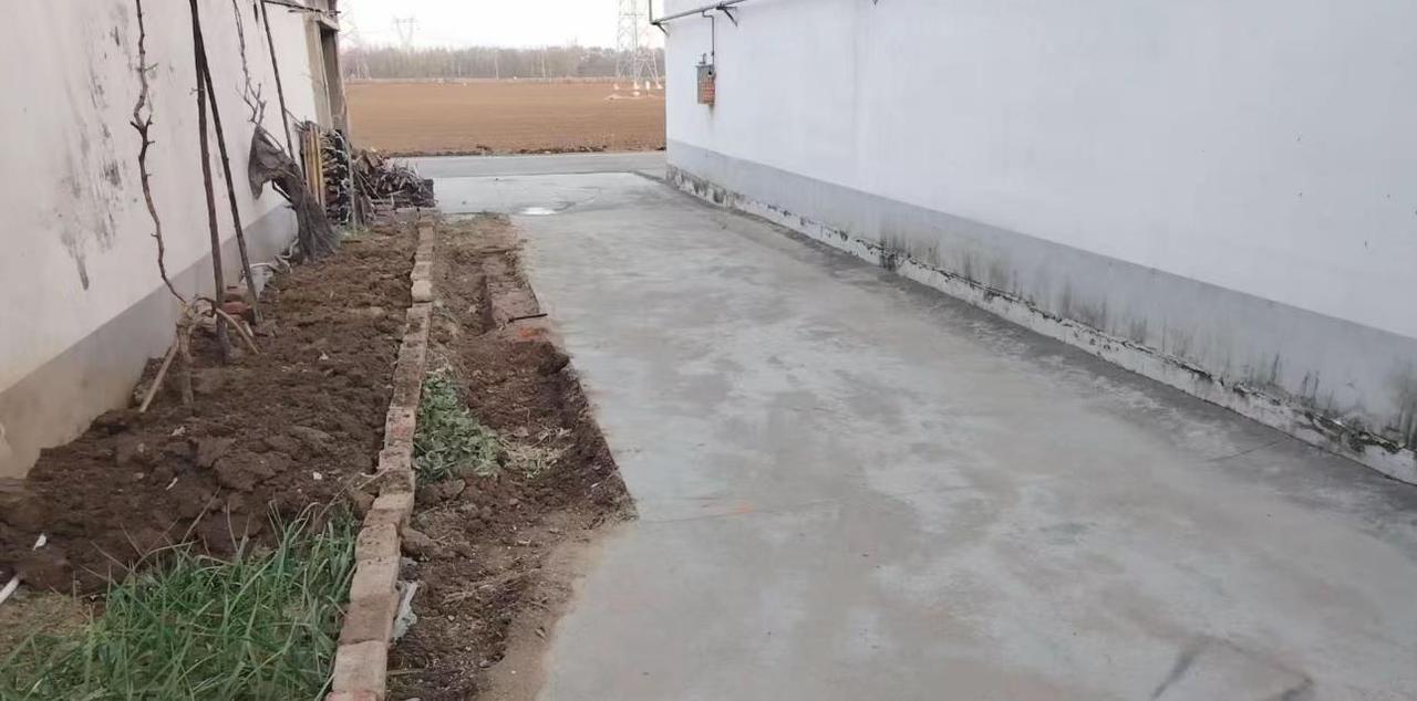 和几十年的老邻居彻底闹翻了，心里又堵又决绝。原本五米宽的公共通道，她硬生生占了两