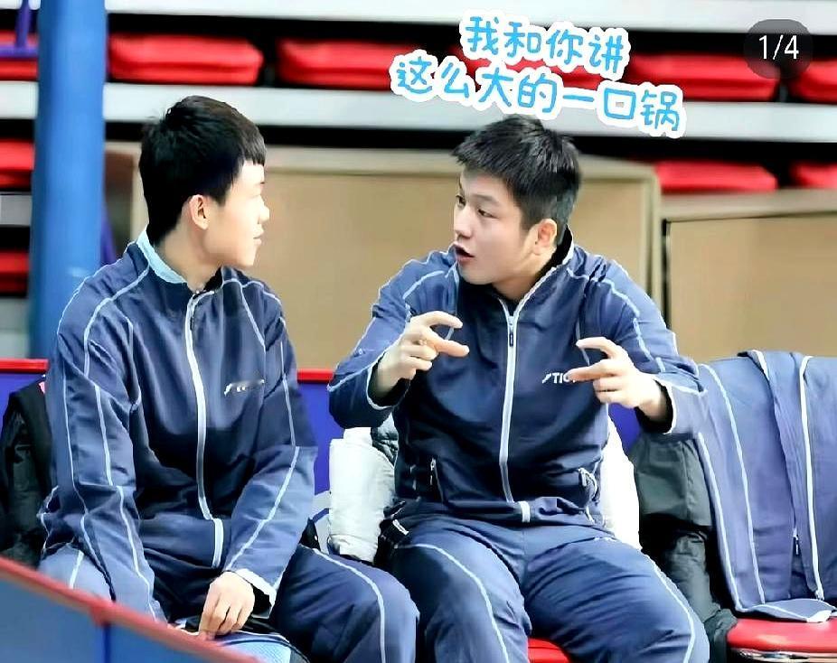 大半夜翻到樊振东小时候的照片，穿着蓝色运动服，整个人白白净净，肉乎乎的。