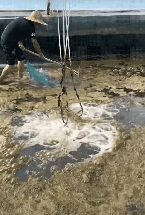 眼不见为净！