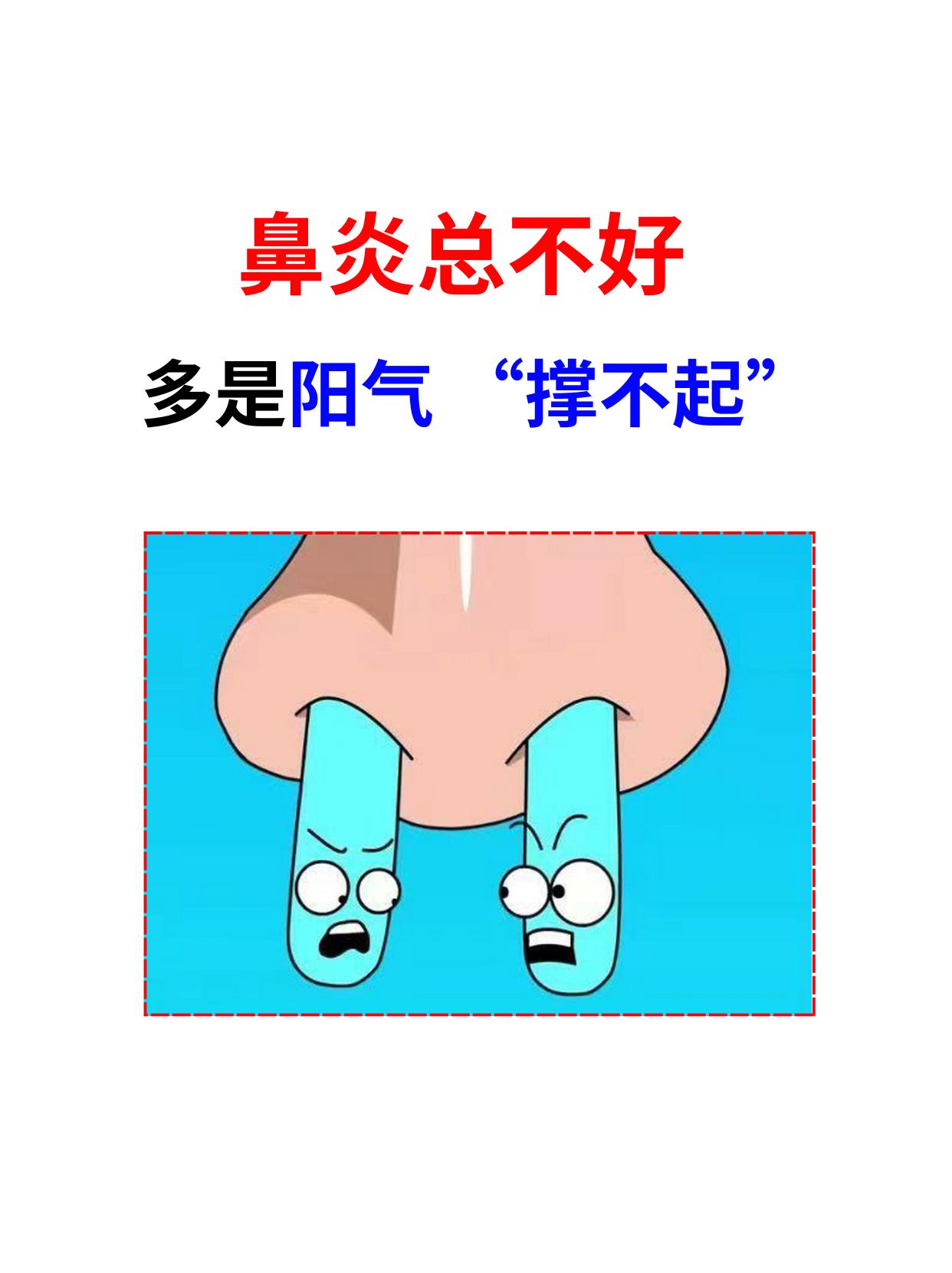 鼻炎总不好，多是阳气“撑不起”“王大夫，您看我这鼻炎怎么就跟粘身上似的？稍