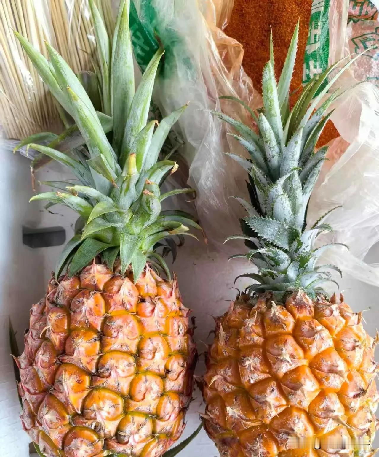 属实感觉上当了！一直听别人说菠萝和凤梨根本不是一回事，凤梨口感更好、味道更