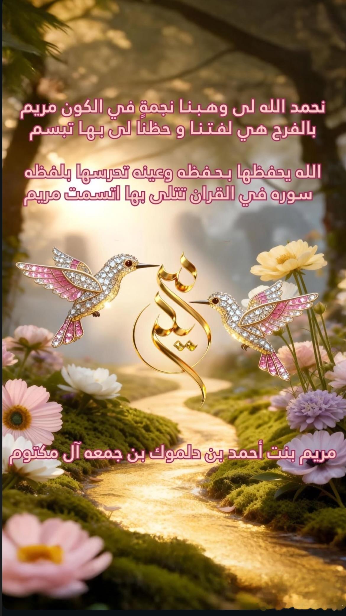 迪拜皇室12.20王储妃妹妹赫德迎来二胎女儿，并为其取名玛丽亚姆。放几张赫德丈