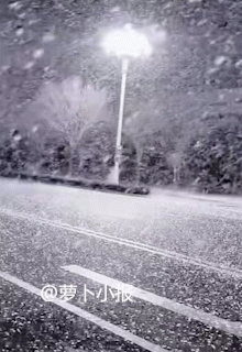 青岛也下雪了，但是……你看看人间北京的雪跟鹅毛似的（左下图），看着过瘾酣畅淋漓