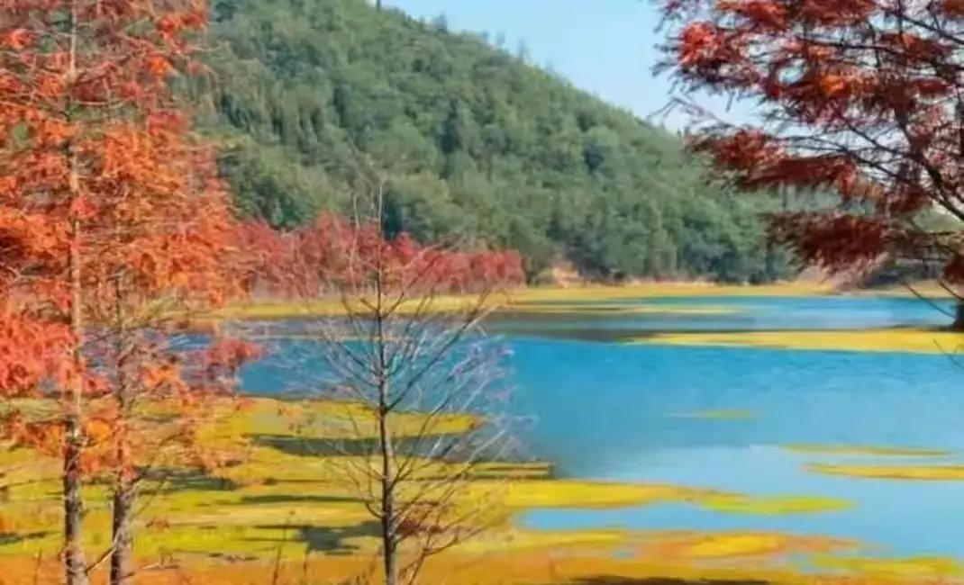 中年男人婚外情，为什么甜蜜背后藏着残酷选择？一夜缠绵后，他转身守护家庭，这痛点直