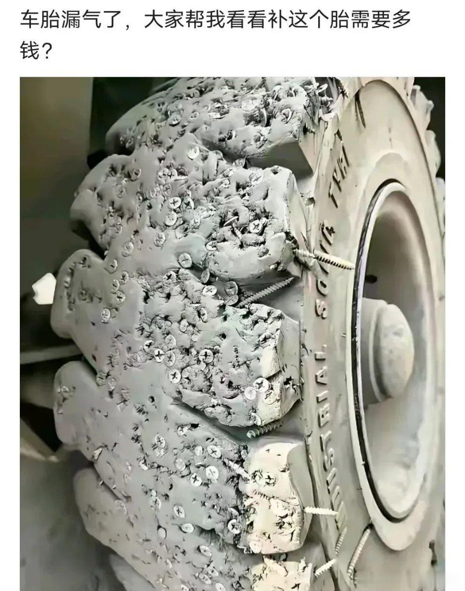 这轮胎已经百毒不侵了​​​