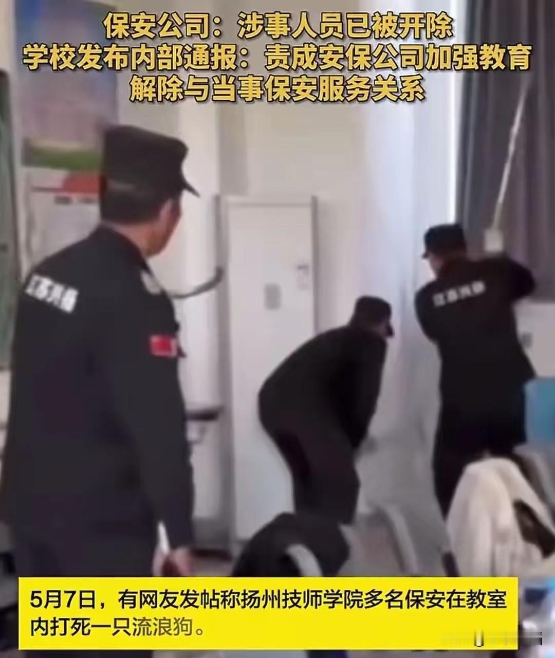 保安打S流浪狗被开除：这届网友都被带歪了节奏保安在教室打S流浪狗被开除，乍看