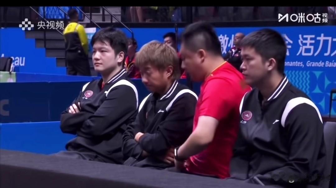 哈哈，央视女解说员都不忘夸樊振东欺负白皙！听她口气，羡慕的很，哈哈不过东哥