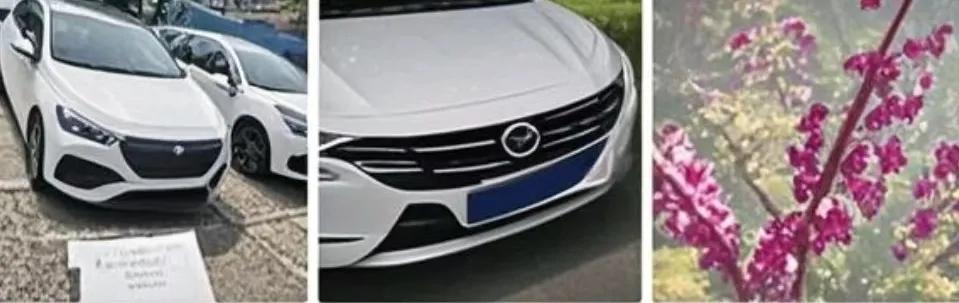 预算11万，油车和电车该如何抉择呢？同事购置了一辆比亚迪元PLUS纯电版，落地