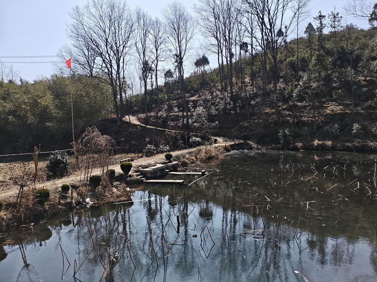 天南地北大拜年